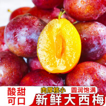 京愿新鲜新疆大西梅 3斤实惠装（净重2.7斤）18.6元（需领券）