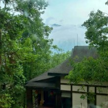 美团 【景区内】万年雪芽坊酒店雅居房1晚+门票+万年寺索道原价1690元 现价709元