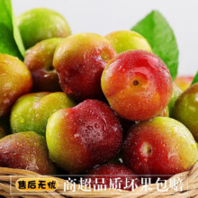 闽域寻鲜 正宗四川李 净重4.5-5斤 | 单果8-20g 源头直采11.99元