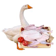 临期白 菜！Nutrend 诺特兰德 卡路里88胶囊30粒￥17.41