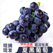 京鲜鲲 葡萄提子 净重5斤35.8元（需领券）