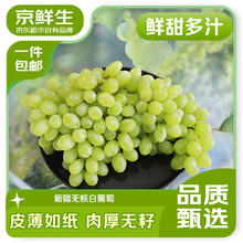 24日10点、移动端、京东百亿补贴：京鲜生 新疆无核白葡萄（马奶无籽青提） 净重3.5斤 8月初发货28.9元