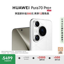 华为 HUAWEI Pura 70 Pro+ 手机 16GB+512GB 弦乐白5499元