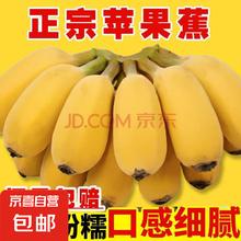 广西苹果蕉多喜啦香蕉青皮生蕉自然熟新鲜苹果蕉粉蕉生鲜 净重3斤￥4.25