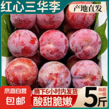 钱排三华李红心李子【单果15-30克】中果5斤14.9元（需领券）