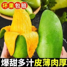 【】5斤云南金煌大青芒单果400g+11元