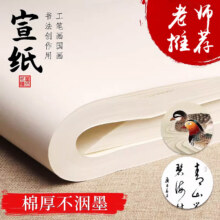 翟氏三炉毛笔书法专用纸初学者练字纸作品纸国画纸工笔画毛笔字宣纸 生宣四尺八开34*34cm100张6.9元