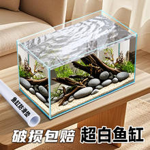 俱馨 鱼缸小型客厅玻璃缸小鱼缸2024生态水缸斗鱼缸螃蟹生态乌龟缸