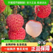 米乐果 广东桂味荔枝 新鲜水果当季糯米白糖糍纯老树2kg26.37元