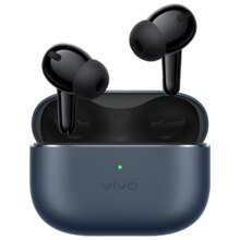 17日20点、政府补贴：vivo TWS 4蓝牙耳机无线耳机209.52元+淘金币29.61元