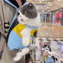 京东【自营】贝尼宠 猫包外出 狗包双肩背包 胸前包 透气四脚包网红款宠物正背反背包 蓝黄L 背长26-32cm适5-10斤46.99元（5000人买过15日售出近100件，历史新低)