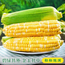 粤迎 云南金银水果玉米 5斤精选果【果农手挑】净4.7斤10.9元（需领券）