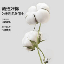 小马宝莉2025新款女宝宝小学生鸳鸯袖纯棉短袖T恤上衣卡通嘿jz49.9元（合16.63元/件）
