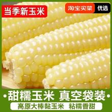 新东北白糯玉米10根新鲜包邮健康营养自然甜玉米美味零食6.9元