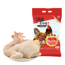 温氏 供港老母鸡 1.4kg34.62元