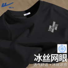 2025夏季新款！回力 男生冰丝速干短袖T恤￥19.90