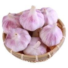 当季山东金乡优质大蒜 1斤 中果(果径4CM-5CM)2.46元（需领券）