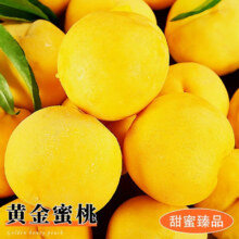 粤迎 山东蒙阴黄桃 净4.5-5斤精选装【单果100g+】15.65元
