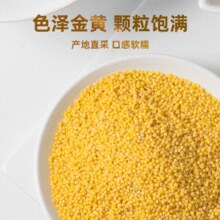 宝宝孕妇高营养必备！野三坡 东北黄小米2.5kg￥14.63 3.3折
