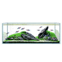 长锐 鱼缸 22x16x17cm、5mm27.3元