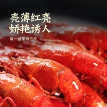 88VIP会员：今锦上 蒜蓉小龙虾整虾 4-6钱/只 800g*3盒76.95元