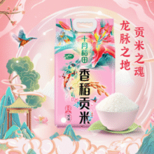 20点月黑风高！ SHI YUE DAO TIAN 十月稻田 香稻贡米 5kg 1袋￥19.50