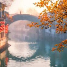 超值2.8折！美团【品质杭苏】杭州-乌镇-苏州-龙之梦4日游|15人精致团纯玩无购物【咨询享优惠】原价2571元 现价698元