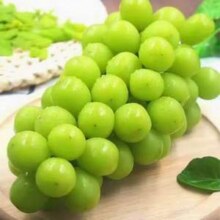 淘宝买菜 阳光玫瑰葡萄 香印青提 带箱5斤 大果 单果10-12g新低24.61元包邮（4.9元/斤）