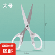 多功能园艺剪花艺剪透明不锈钢家用剪刀办公室剪纸强力便携式 大号1元