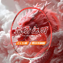 VICTOR 胜利TK-RYUGA CLS 全碳素单拍进攻型 4u （三款可选）券后278元