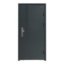 WL王力防盗门家用入户门进户门定制农村自建房大门子母门P6011995.7元 (券后省1)