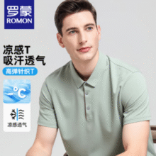 ROMON 罗蒙 男士夏季休闲短袖T恤￥24.90