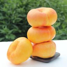 初石 顺丰 山东蒙阴 王母蟠桃 黄毛蟠桃 2.5斤装 6-8个20.99元（需买2件，需用券）