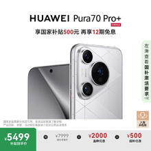 华为 HUAWEI Pura 70 Pro+ 手机 16GB+512GB 光织银5499元