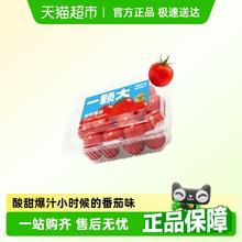 88VIP会员：一颗大 樱桃番茄458g*2盒券后13.2元