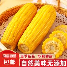 京喜 东北黄糯玉米真空包装速食玉米软糯香甜代餐小棒140g-180g 5根特惠装券后1.99元