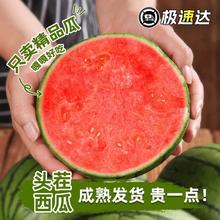 春福乐 8424麒麟西瓜当季新鲜水果爆汁云南美都甜西瓜整箱 畅享装券后15.99元