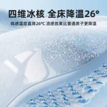 2025新款凉席夏季冰丝可机洗凉席A类母婴级夏天 床单款 90*200cm69元（需领券）
