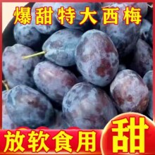 陕西现摘脆甜西梅 5斤净重4.5斤 精选装20.9元