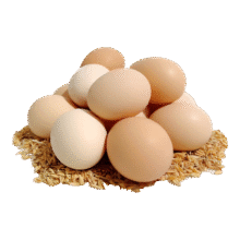 京喜加 鲜鸡蛋 土鸡蛋 五谷喂养 山林自养鸡蛋40g 10枚 0.4kg3.25元（多人团）