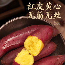 88VIP会员：鲜泰来 【顺丰发货】鸣门金时板栗红薯新鲜番薯蜜薯黄心地瓜净重5斤大果33.25元（双重优惠）