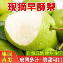 2025现摘早酥梨脆甜多汁薄皮梨子应季头茬大果冰糖雪梨酥脆化渣 3.5斤【手挑精选果】净重3斤6.89元（需领券）