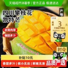 本来果坊 攀枝花凯特芒果 5斤 单果450g+10.42元包邮（2.08元/斤）
