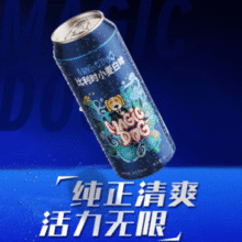 SNOW 雪花 定制精酿啤酒 口感清爽 自饮佳品 500ml*6罐￥14.60