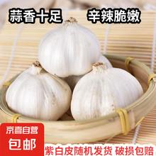 京喜 紫白皮蒜 国产水果大蒜 500g 单果3.5-5cm2.5元