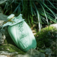 古越龙山 八年陈花雕 500ml*6瓶169.1元包邮（28.1元/瓶）