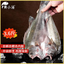 黄小渔 宁德三去海鲈鱼 3.6斤/3条 冷冻开背鲈鱼 生鲜 深海鱼类源头直发 三去海鲈鱼3.6斤/3条58.2元
