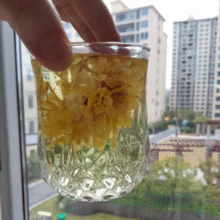 一朵一杯！徽春堂 金丝皇菊 20g 约50朵￥5.90 2.0折
