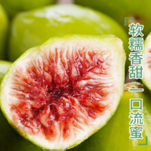山东威海青皮无花果鲜果5斤新鲜应季水果大果现摘现发顺丰包邮50.26元