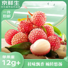 京鲜生 广东桂味荔枝 净重5斤装 单果12g+ 水果 源头直发包邮44.4元